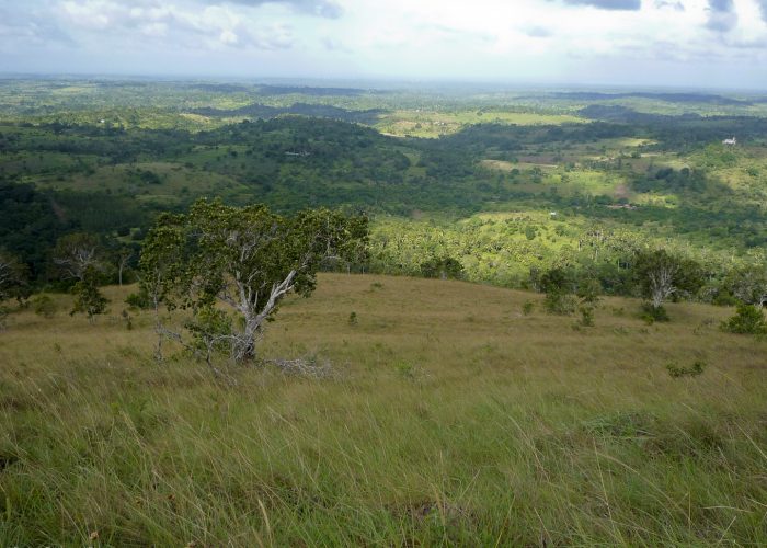 Mombasa to Shimba Hills Safari 1 Day