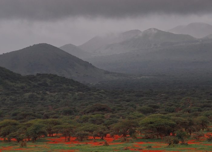 Mombasa to Tsavo East and West Safari 3 Days