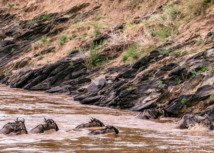 Nairobi to Maasai Mara Safari 3 Days