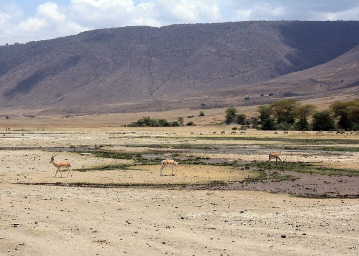 5 Days Tarangire – Ngorongoro And Serengeti Camping
