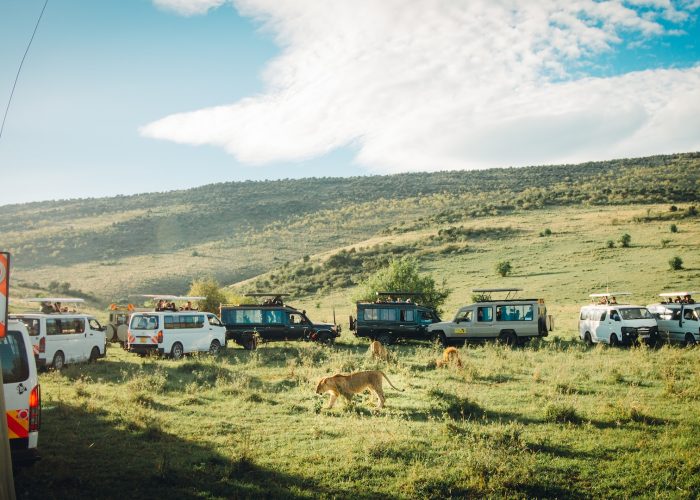2 Days 1 Night Masai Mara (Mara Express) Safari 