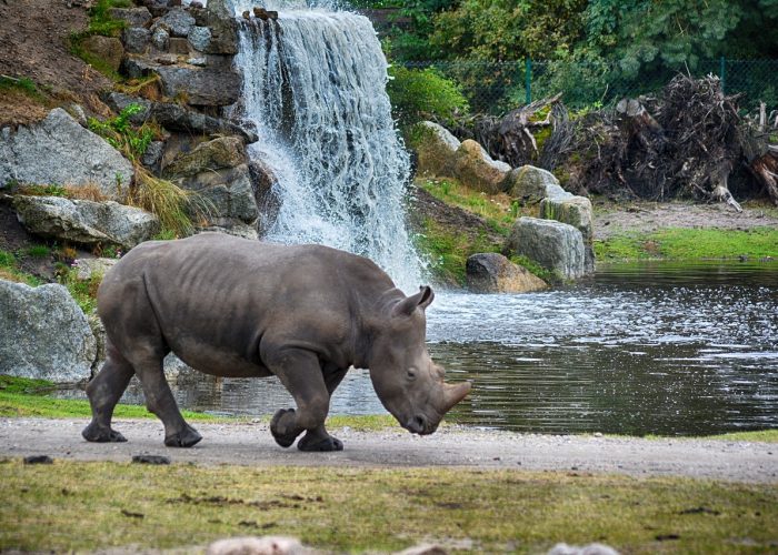 Photographic Tanzania Safari